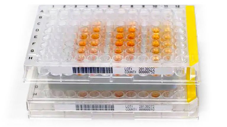 96-well culture plates below and above the Mini-Rayonex device 