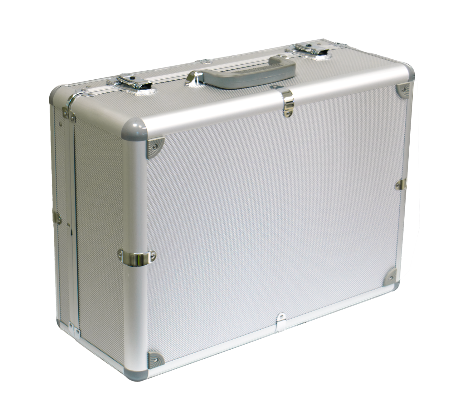 Carry case (large)
