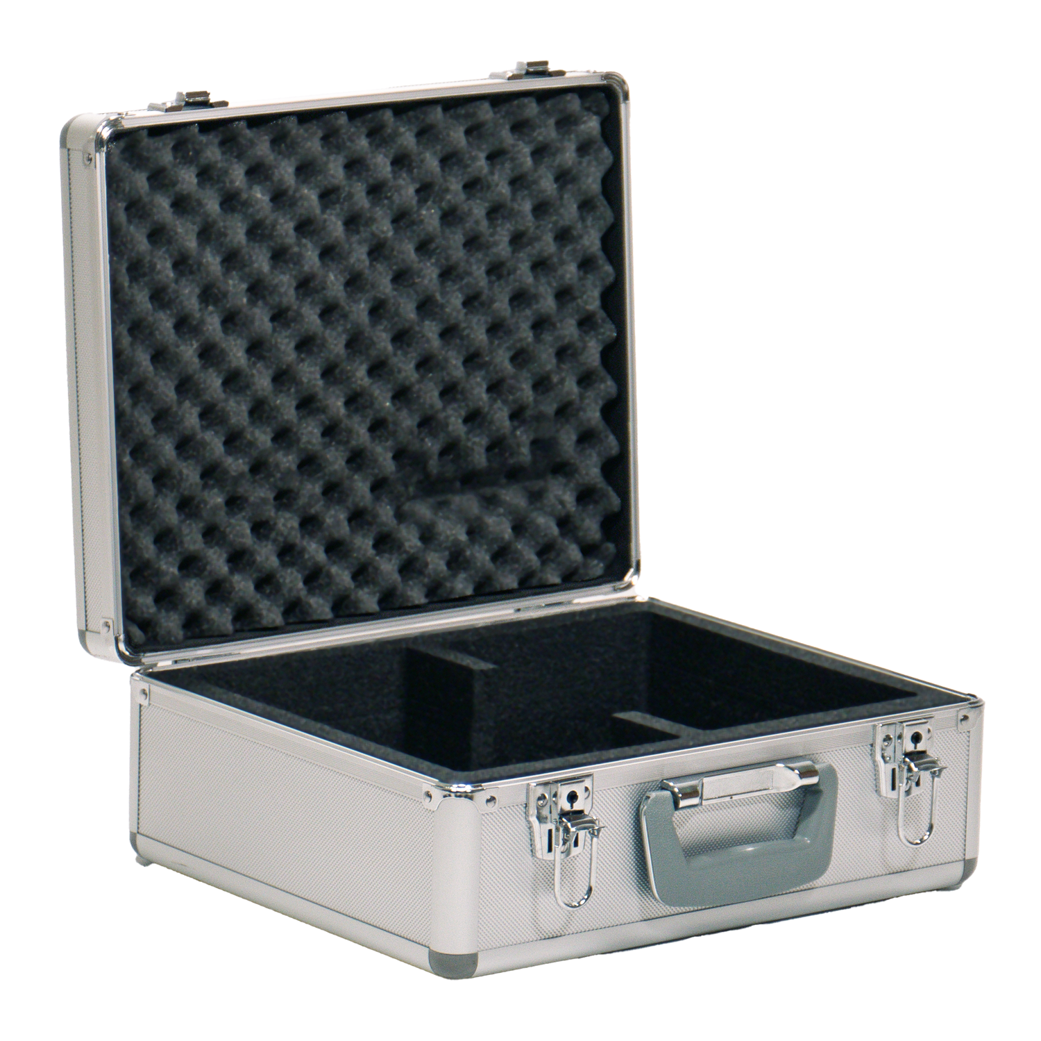 Carry case (small)
